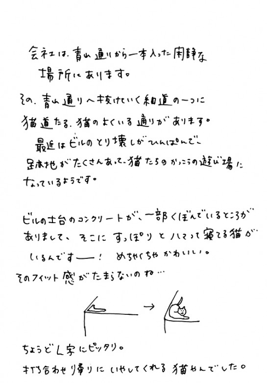 近所にいる猫のおはなし