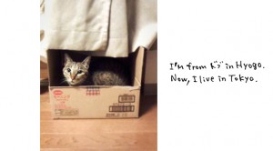 I'm_fine!! I'm_fine!!