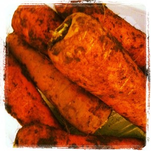 4751a8fc23bb11e180c9123138016265_7