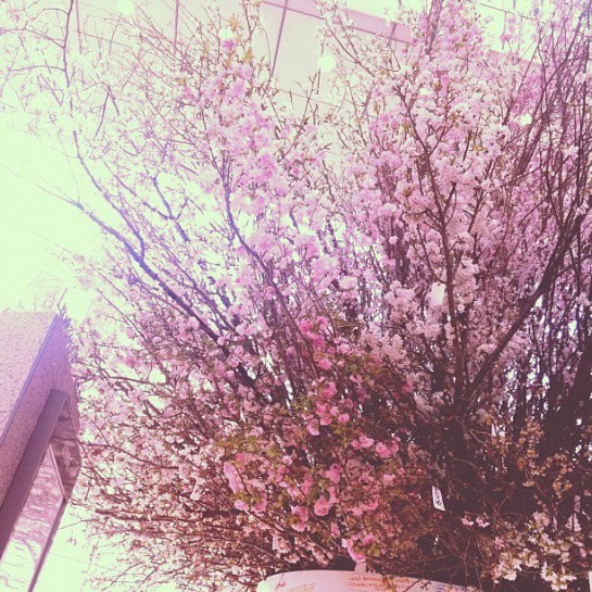 547182_198411080262483_100002807788529_236580_2012187103_n